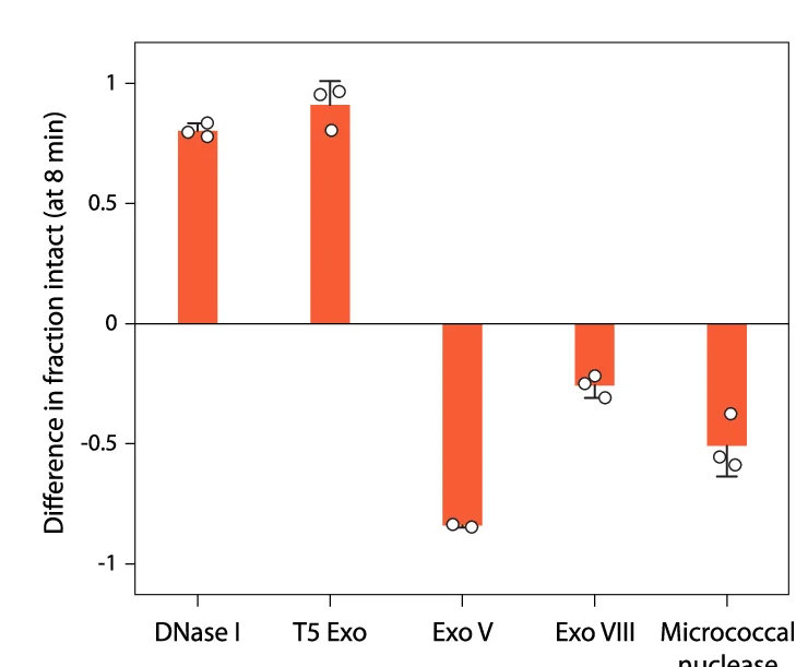 Open access visualization of Bar Plot, Error Bars, Switchback DNA, Conventional Duplex, Intact Fractions