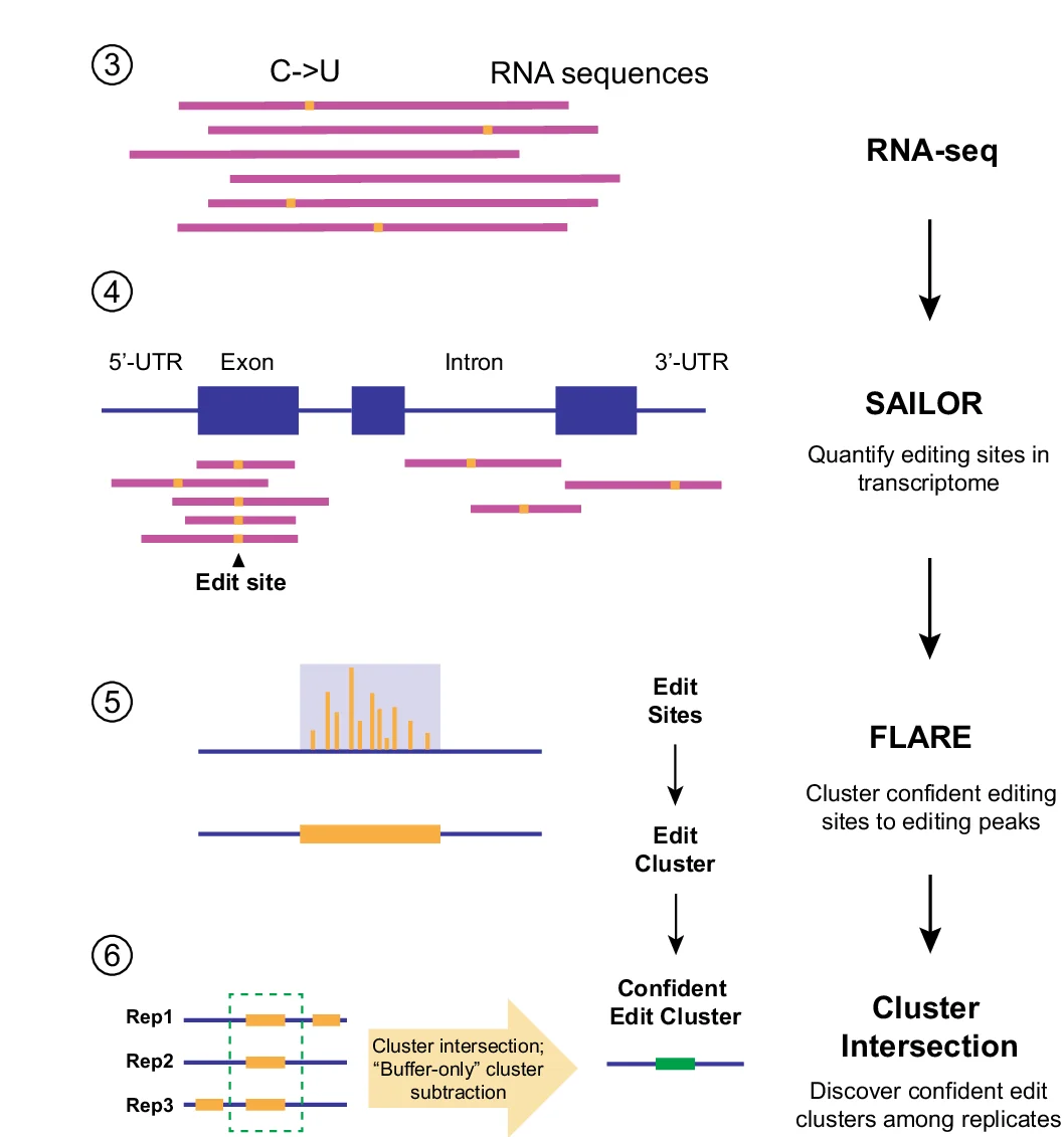 Open access visualization of Workflow, Illustration, Bar Plot, Data Analysis, RNA Sequences