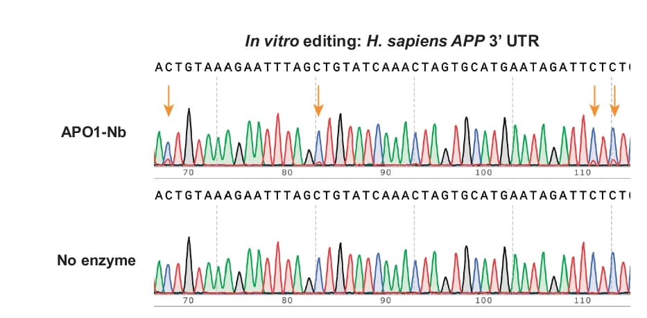 Open access visualization of Line Plot, Sanger Sequencing, In Vitro, RNA Editing, APOBEC1-nanobody