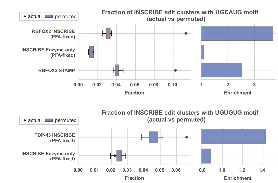 Open access visualization of Bar Plot, Box Plot, Error Bars, Motif-containing INSCRIBE Edit Clusters, Permuted Clusters