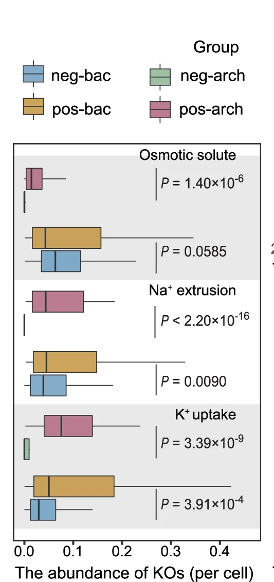 Open access visualization of Box Plot, KO, Salt-Resistance, Taxa Abundance, Bacteria