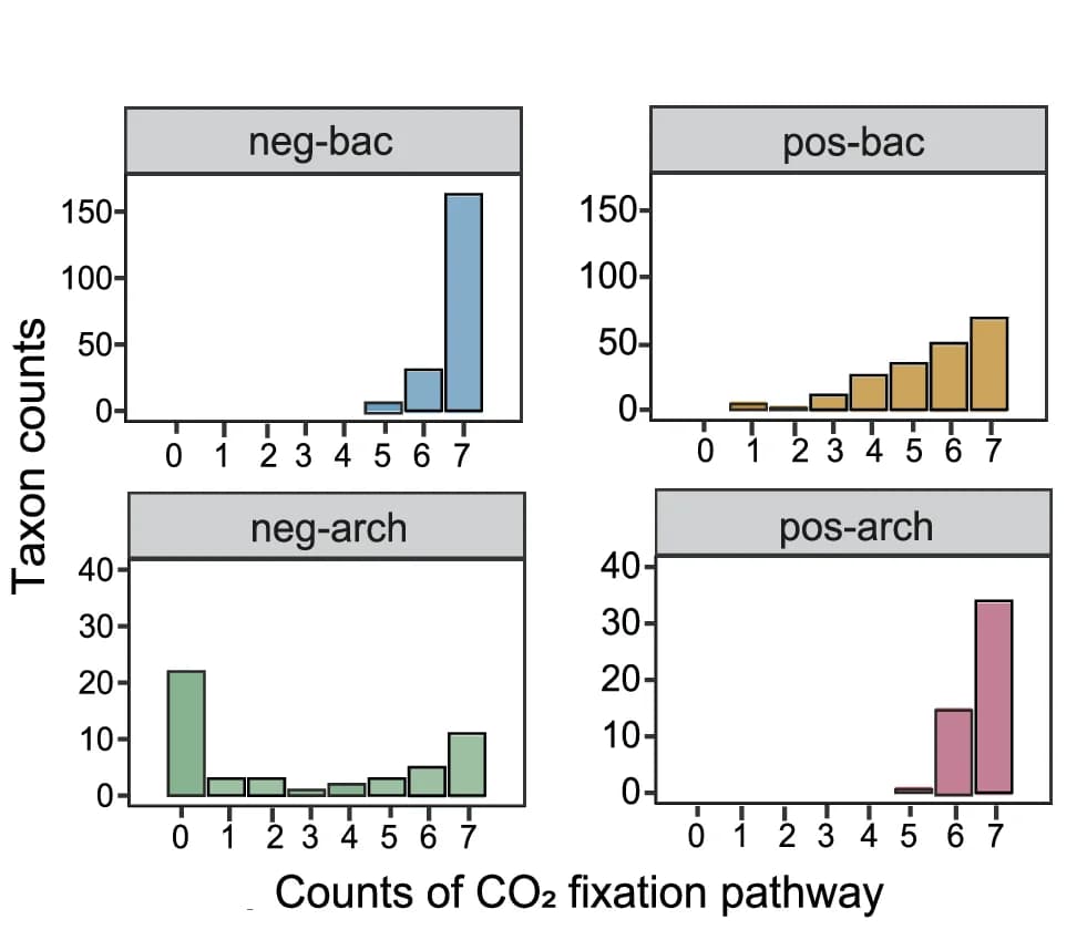 Open access visualization of Bar Plot, Gene Frequency Distribution, C-Fixation, Taxa