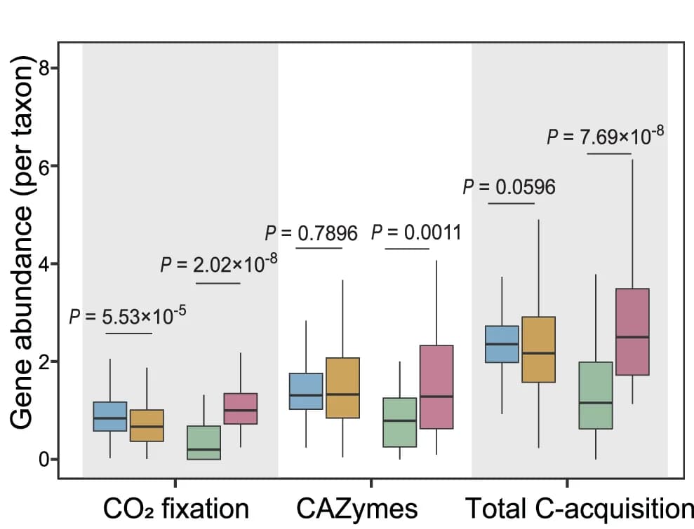 Open access visualization of Box Plot, Gene Frequency Distribution, CAZymes, C-Degradation, Taxa
