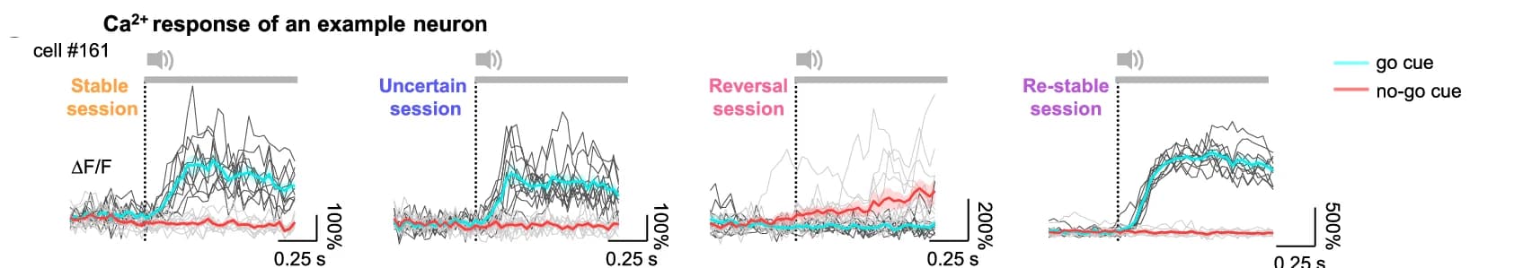 Open access visualization of Line Plot, Error Bars, Calcium Transients, ACC Neuron, Go Stimuli