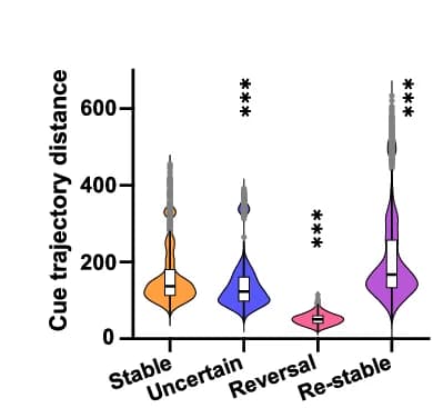 Open access visualization of Violin Plot, Box Plot, Raincloud Plot, Euclidean Distance, Activity Trajectories