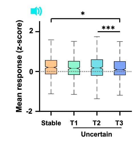 Open access visualization of Box Plot, Population Response, Go Stimulus, Stable Sessions, Uncertain Sessions