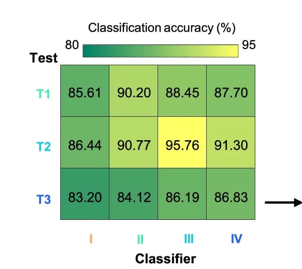 Open access visualization of Heatmap, Classification Accuracy, Stimulus Identities, Population Neuronal Activity, Task Phases