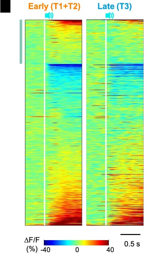 Open access visualization of Heatmap, Neurons, Reward Omission, Hit Trials, Reward Delivery