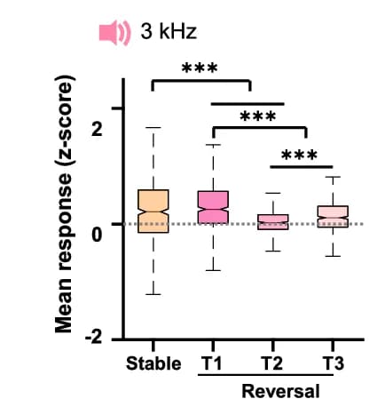 Open access visualization of Box Plot, Mean Population Response, 3 kHz Tone