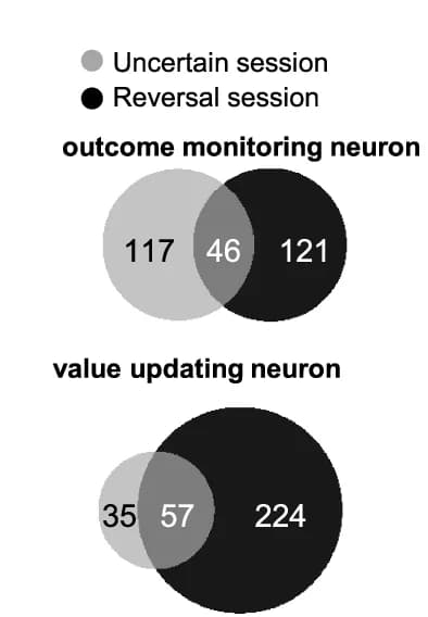 Open access visualization of Venn Diagram, Functional Neurons, Uncertain Session, Reversal Session