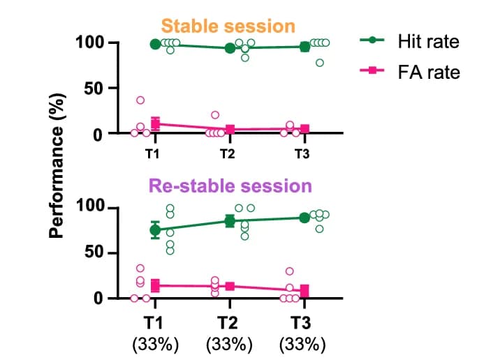 Open access visualization of Line Plot, Scatter Plot, Error Bars, Behavior Performance, T1-T3 Phases