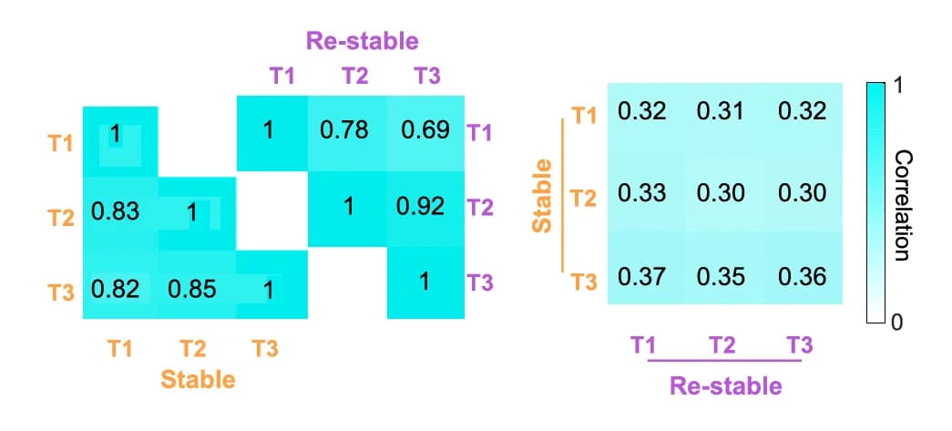 Open access visualization of Heatmap, Correlation, Go-cue Evoked Population Activity, Stable Session, Re-stable Session