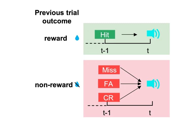 Open access visualization of Workflow, Flowchart, Illustration, Go Trials, Reward Outcome