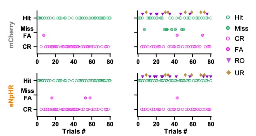 Open access visualization of Scatter Plot, Animal Performance, mCherry, eNpHR Mice, Stable Session