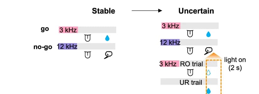 Open access visualization of Workflow, Flowchart, Illustration, ACC Activity, Unexpected Outcome