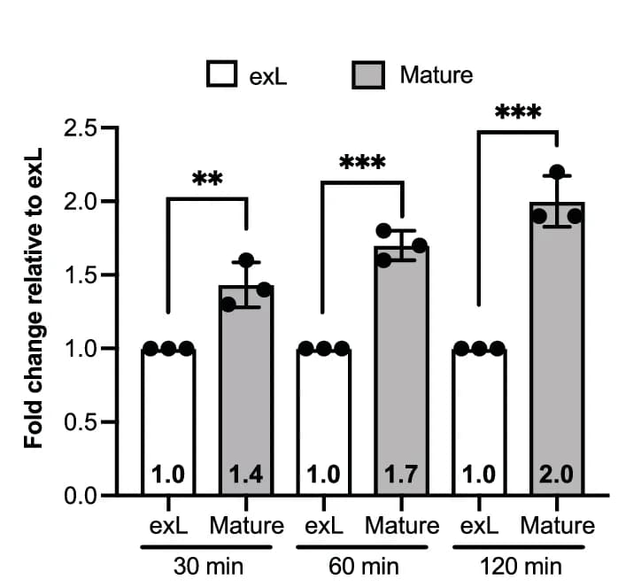 Open access visualization of Bar Plot, Error Bars, Clustered, Telomerase Activity, Normalization