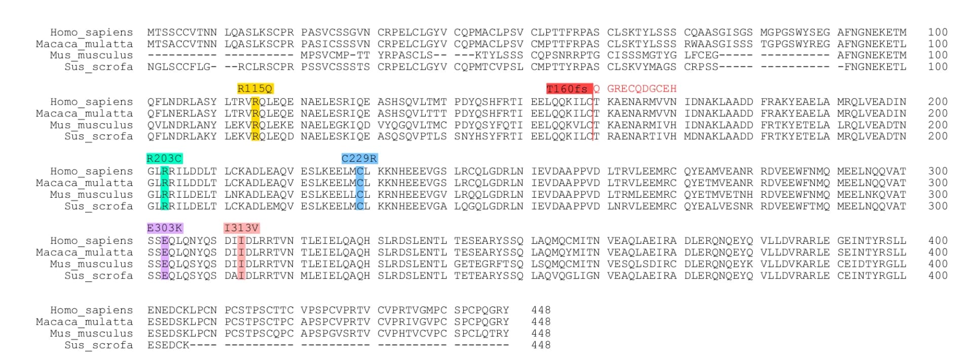 Open access visualization of Table Image, Sequence Alignment, Homo Sapiens, KRT32 Proteins, Macaca Mulatta