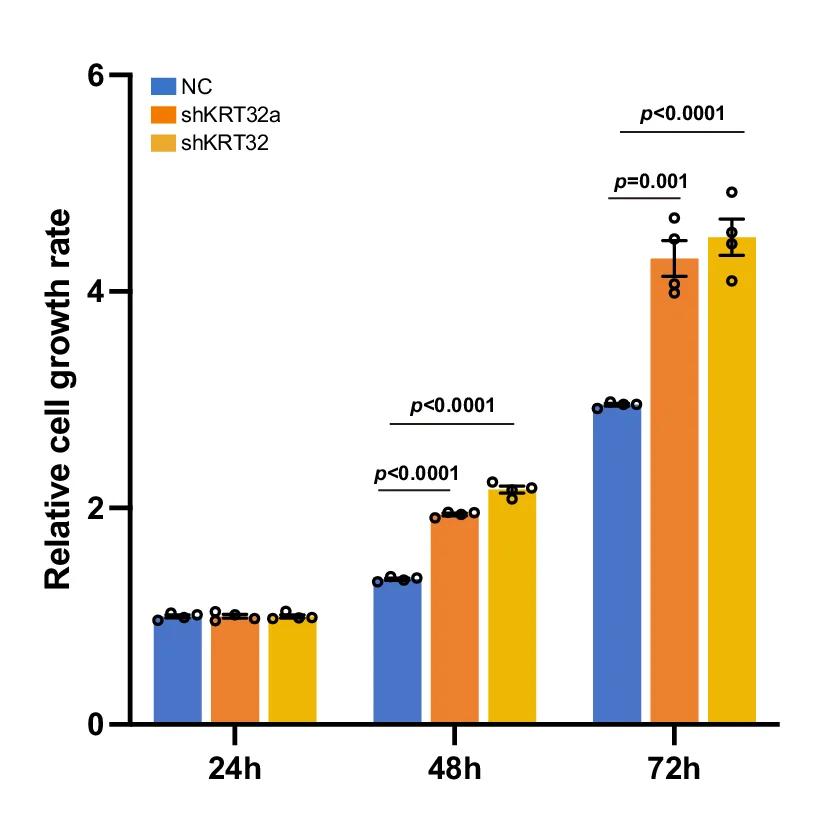Open access visualization of Clustered, Error Bars, CCK-8 Assays, KRT32, Cell Proliferation