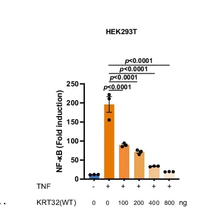 Open access visualization of Bar Plot, Error Bars, NF-B Activation Assay, Luciferase Activation Assay, HEK293T Cells