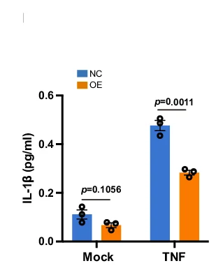 Open access visualization of Bar Plot, Error Bars, Clustered, IL1 Secretion, IL-6 Secretion
