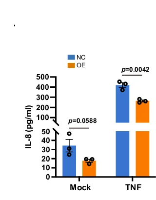 Open access visualization of Bar Plot, Error Bars, Clustered, IL1 Secretion, IL-6 Secretion