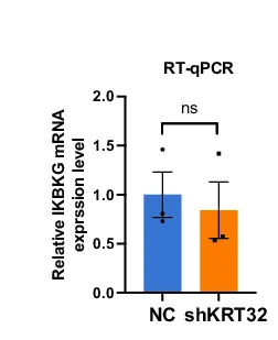 Open access visualization of Bar Plot, Error Bars, mRNA, NEMO, KRT32