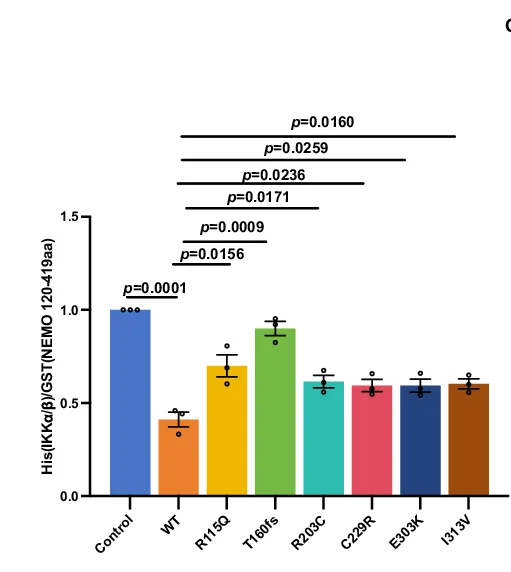 Open access visualization of Bar Plot, Error Bars, Statistical Analysis, IKKa, IKKb