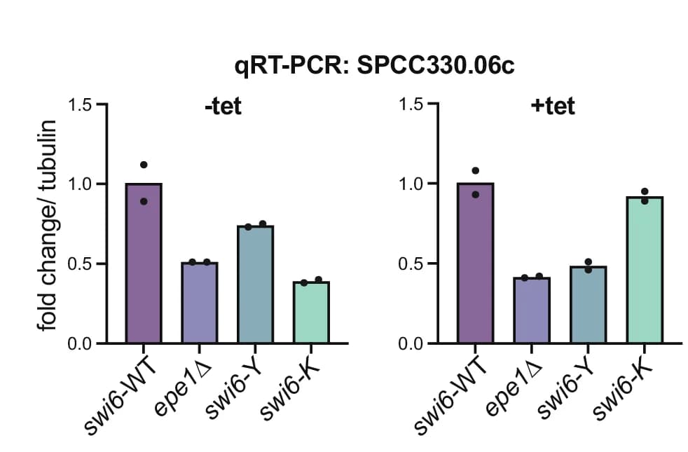 Open access visualization of Bar Plot, Error Bars, qRT-PCR, RNA Levels, SPCC330.06c