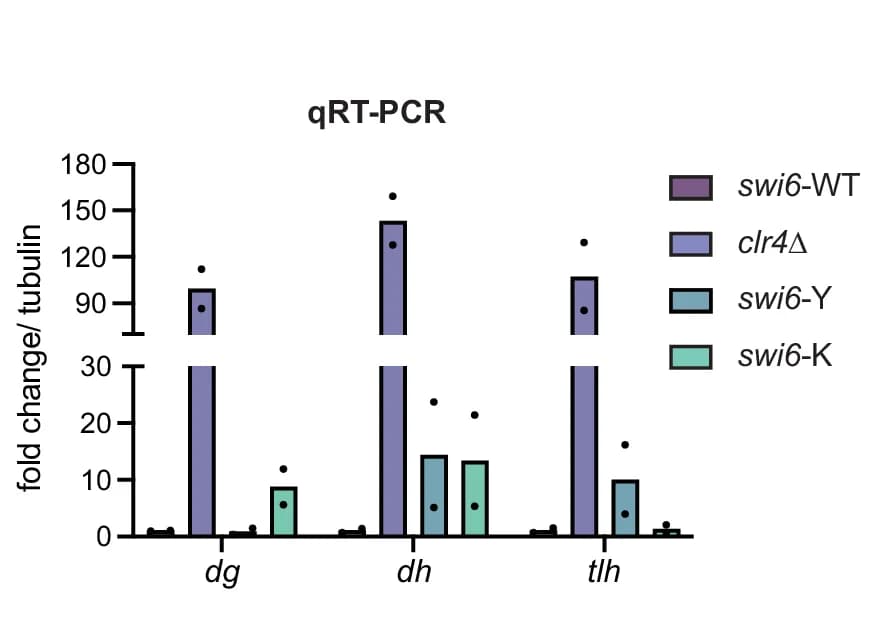Open access visualization of Bar Plot, Error Bars, Clustered, qRT-PCR, RNA Levels