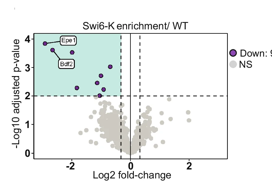 Open access visualization of Volcano Plot, Scatter Plot, Mass Spectrometry, Affinity Purification, Protein Interactions