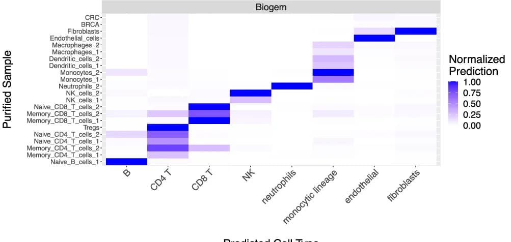 Open access visualization of Heatmap, Cell Type, Purified Sample, Prediction