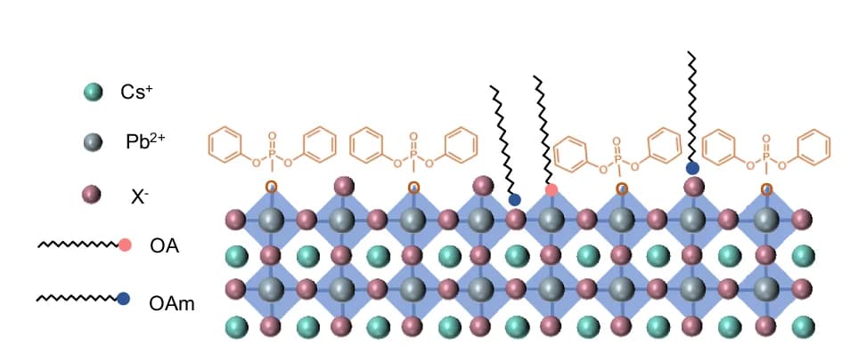 Open access visualization of Illustration, Chemical Structure, DPPA-NCs, Surface