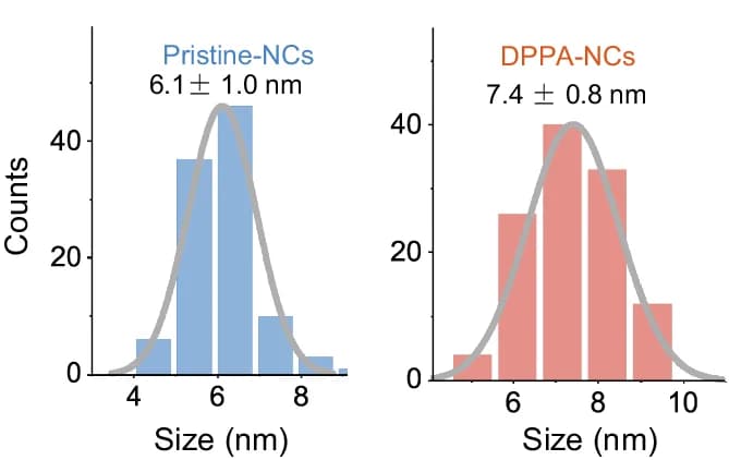 Open access visualization of Histogram, Line Plot, Density Plot, Size Distribution, Histograms