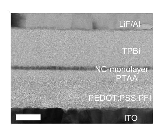 Open access visualization of Microscopy, TEM, DPPA-NC LED, LED