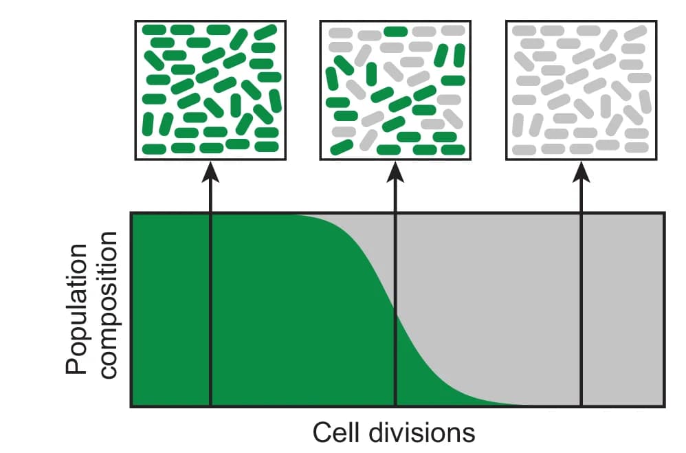 Open access visualization of Line Plot, Illustration, Population Dynamics, Failed Cells, Mutated Constructs