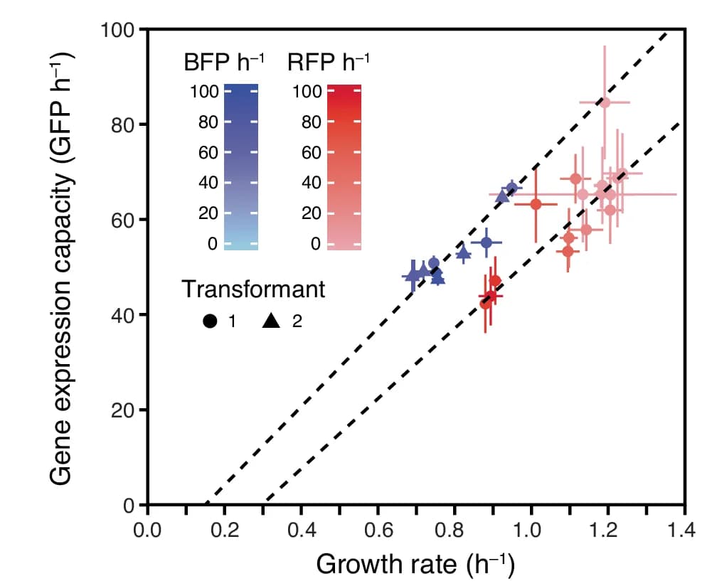 Open access visualization of Scatter Plot, Error Bars, Regression Plot, Growth Rate, Fluorescent Protein