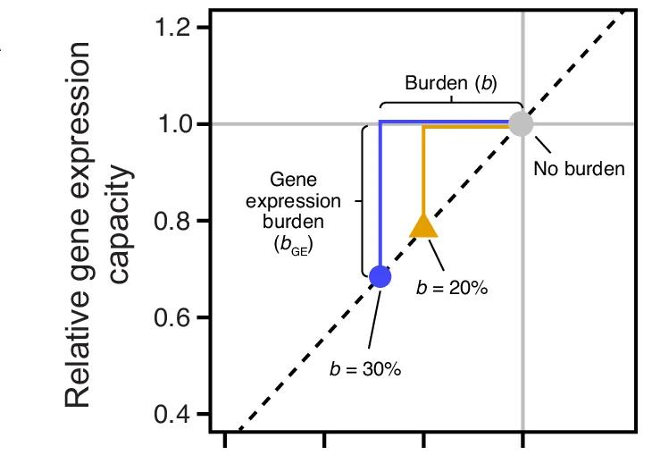 Open access visualization of Line Plot, Scatter Plot, Line Step, BioBricks, Burden