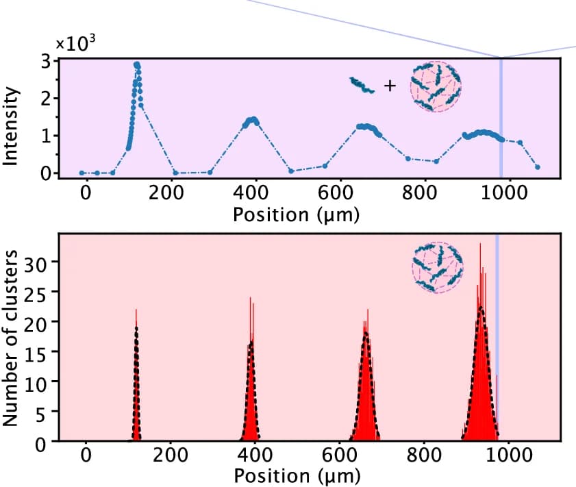 Open access visualization of Line Plot, Histogram, Step Scan, Nanocluster Events, Chip Position