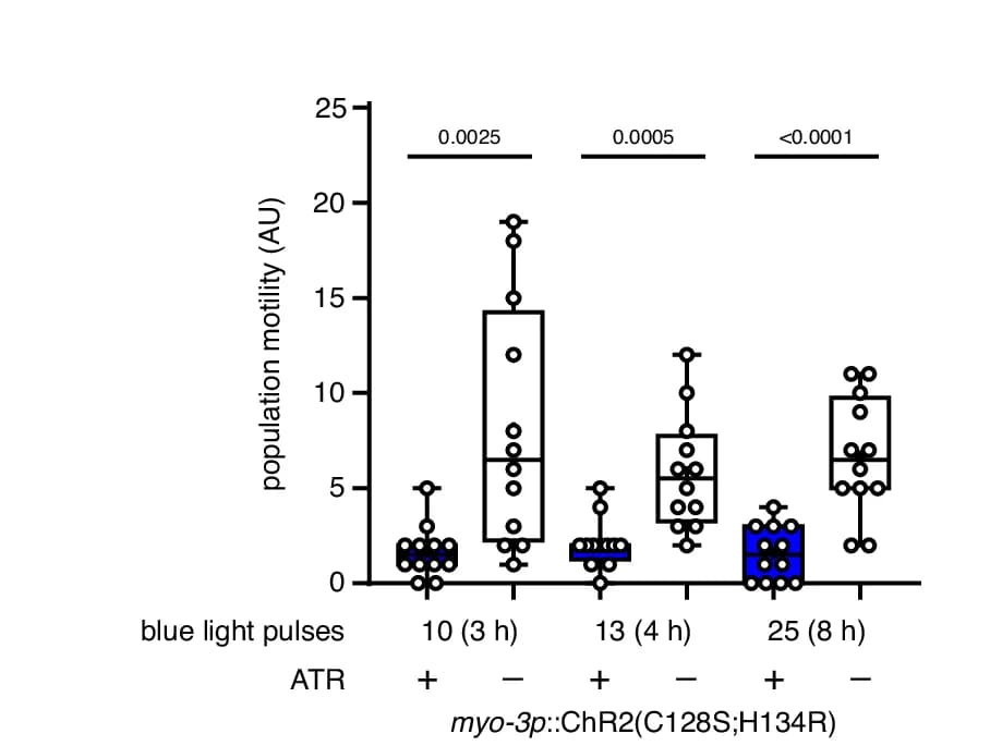 Open access visualization of Box Plot, Scatter Plot, Motility, OptIMMuS, Worm