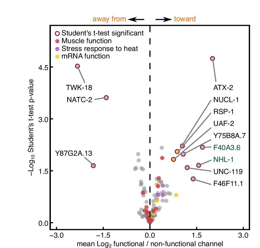 Open access visualization of Volcano Plot, Scatter Plot, Muscle Proteins, UNC-45, Muscle Function