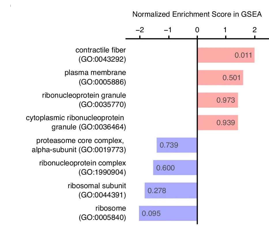 Open access visualization of Bar Plot, Western Blot, UNC-54/Myosin, UNC-45, Tubulin