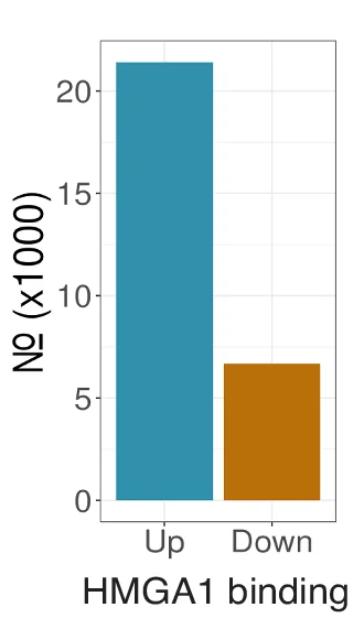 Open access visualization of Bar Plot, HMGA1 Binding, OIS, Grow, Increased