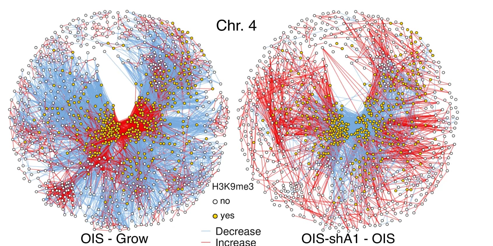 Open access visualization of Network, Interaction Networks, Chromosome 4, H3K9me3