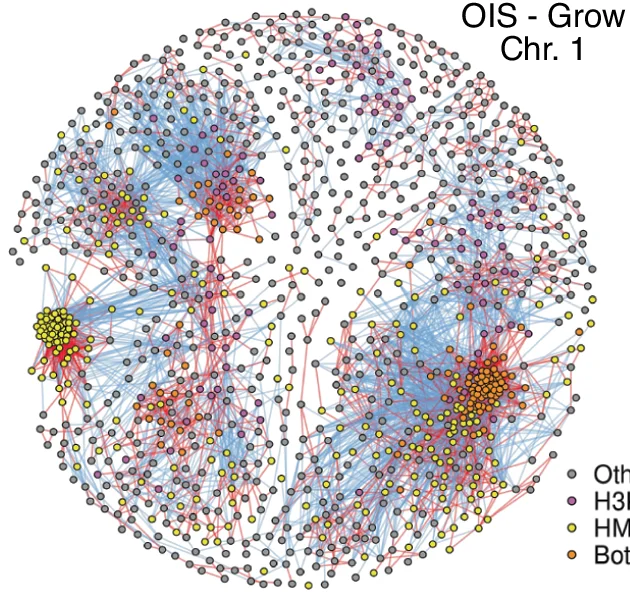 Open access visualization of Network, Pathway, Differential Interactions Network, OIS, Grow