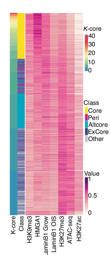 Open access visualization of Heatmap, K-core Values, Classification, Epigenetic Properties, ChIP-seq