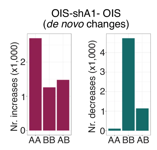 Open access visualization of Bar Plot, De novo Interactions, OIS-shA1, OIS, A Compartment