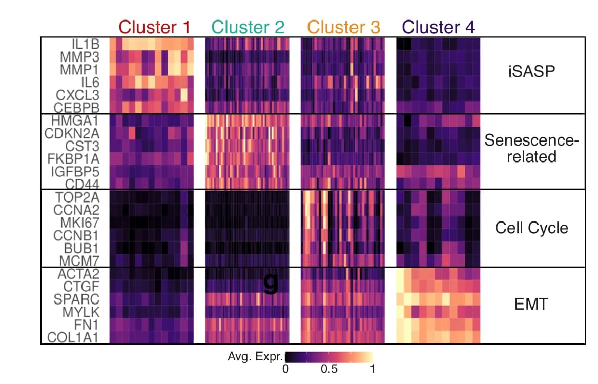 Open access visualization of Heatmap, Clustered, Milo Clusters, Differential Expression, OIS Cells
