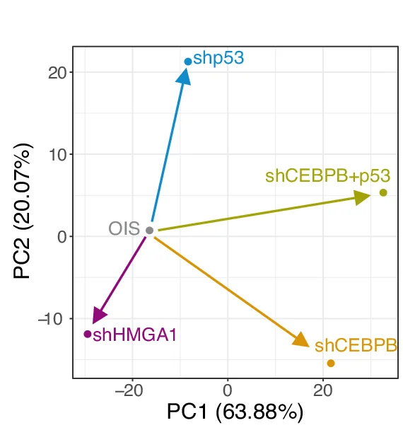 Open access visualization of Scatter Plot, PCA, Dimensionality Reduction, Log-Fold Changes, OIS Cells