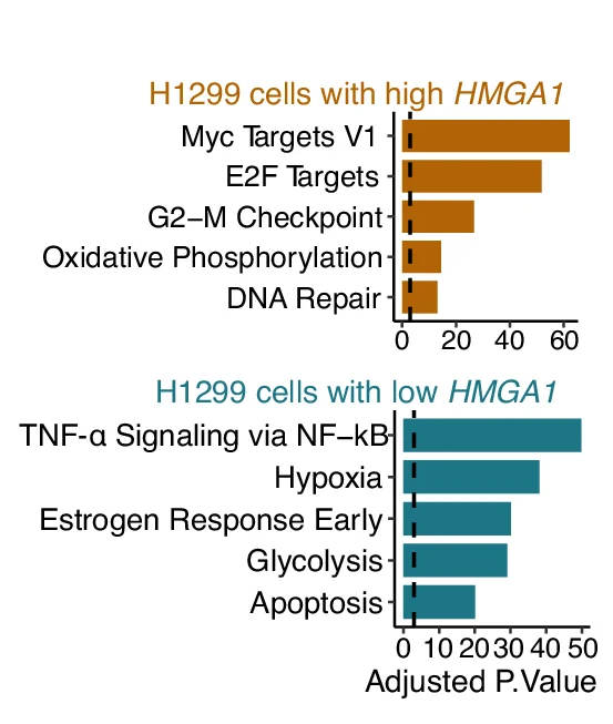 Open access visualization of Bar Plot, Gene Enrichment Analysis, H1299 Cells, HMGA1 Expression, Single-Cell Expression Dataset