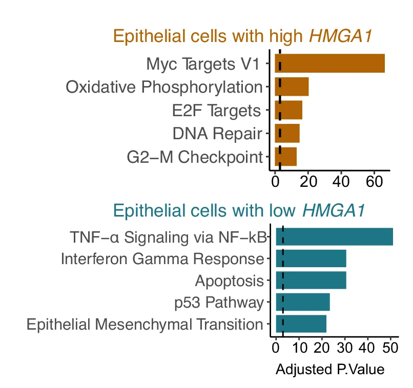 Open access visualization of Bar Plot, MSigDB Hallmarks, Gene Markers, Epithelial Cells, Advanced Tumour